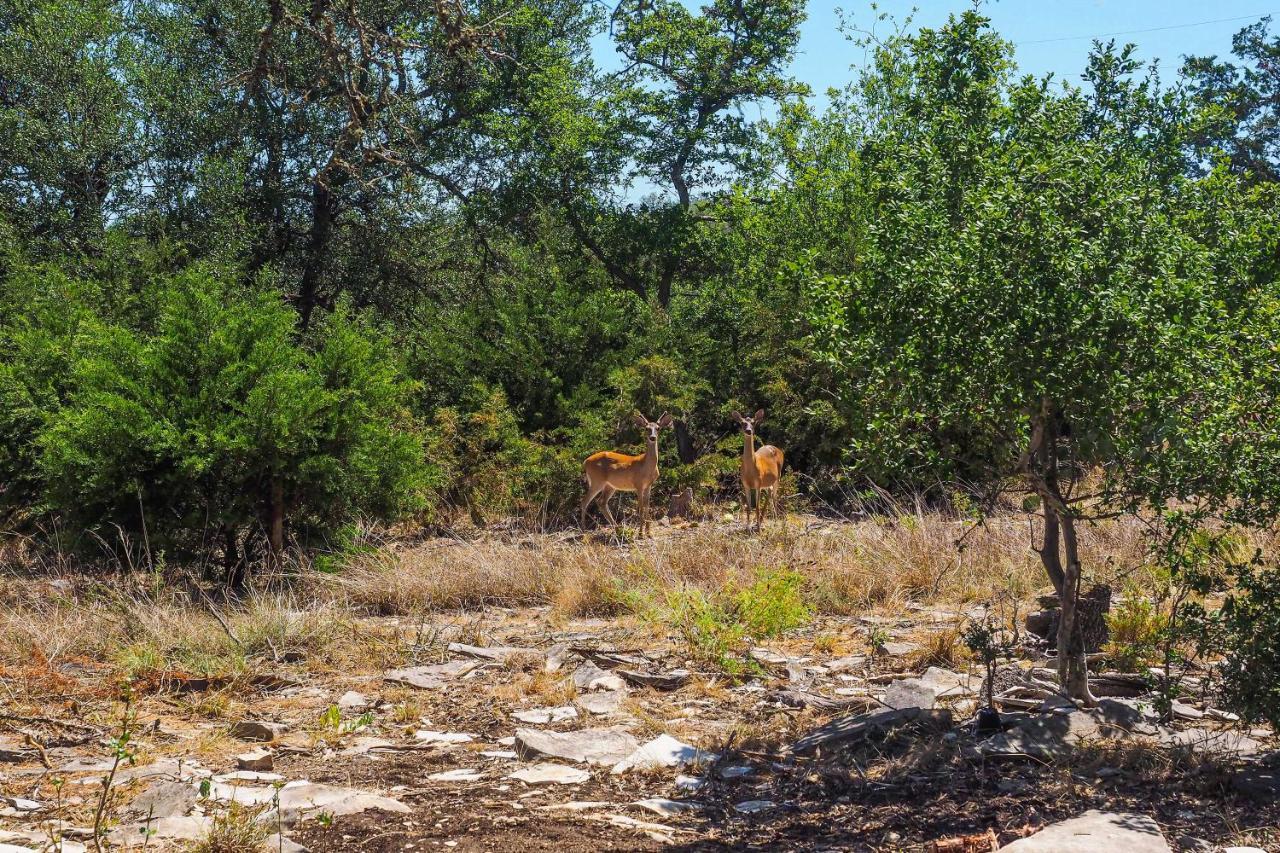 Cozy Kerrville Guest Cottage Near Guadalupe River! Exteriör bild